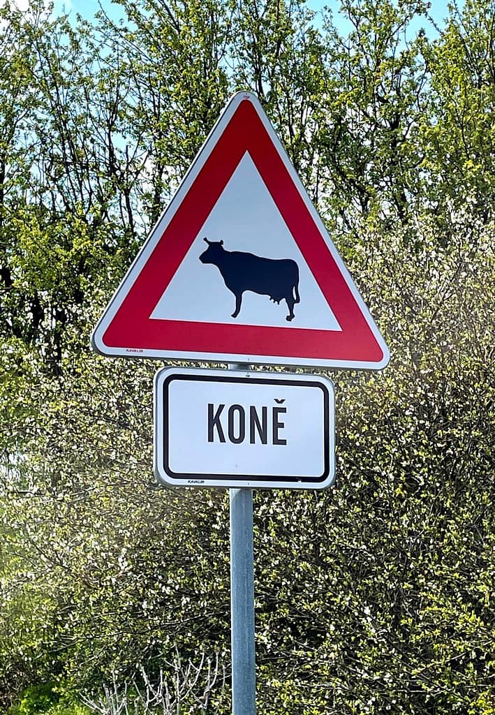 dopravní značka pozor krávy a pod ní cedulka koně